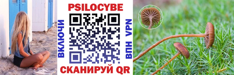 Галлюциногенные грибы мицелий  Почеп 