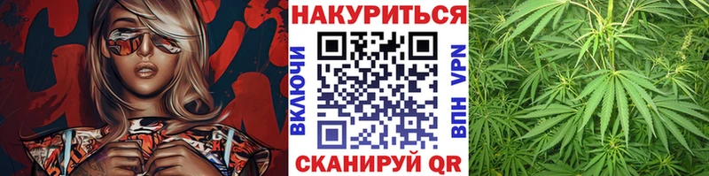 OMG tor  Почеп  Бошки марихуана сатива  купить  цена 